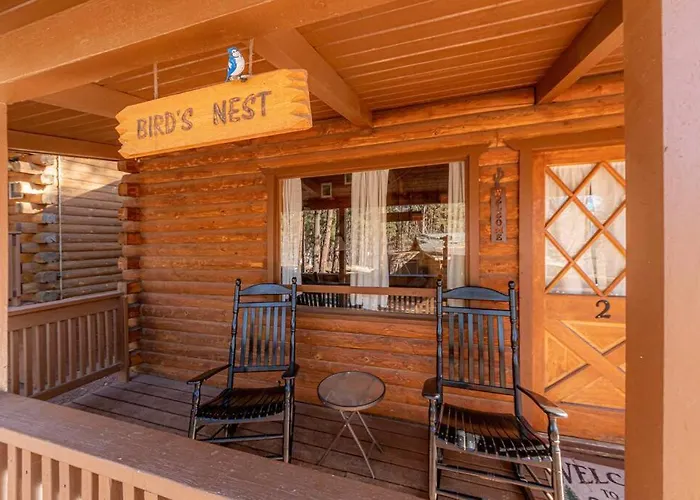 Forest 2 Birds Nest Payson